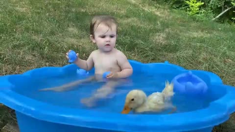 Funny videos