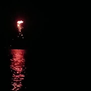 German 'Gepard' working in Odesa