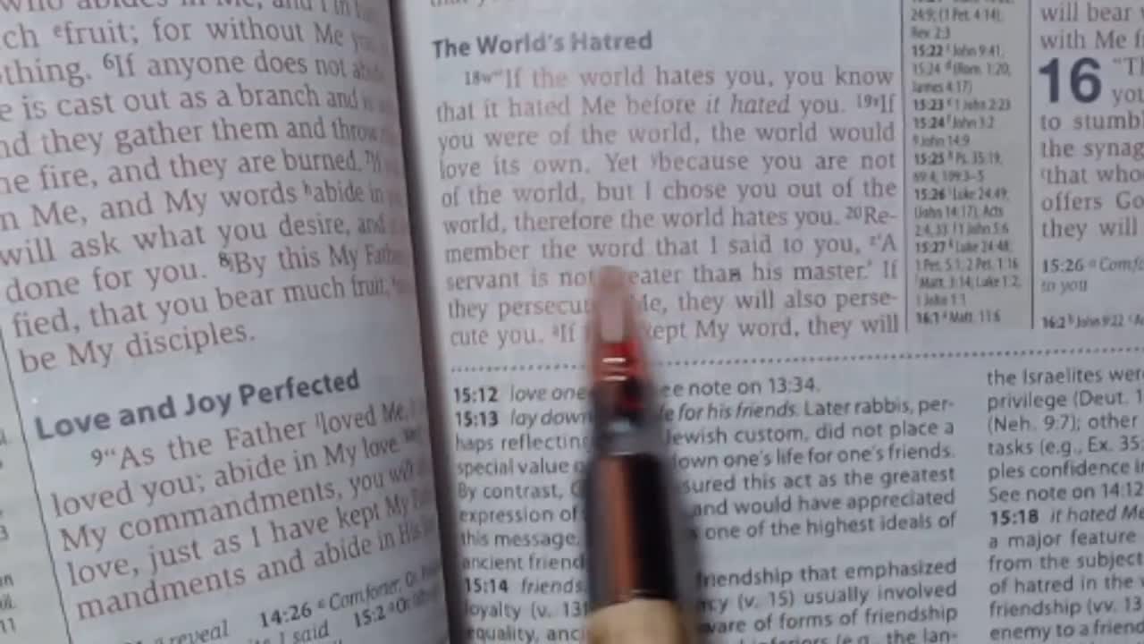John 15 18-25 (The World's Hatred)
