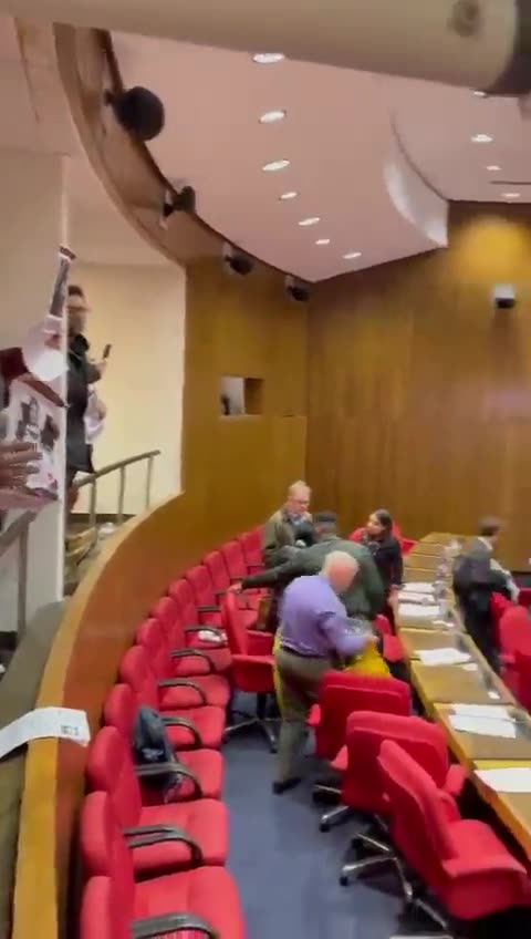 Lewisham, last night "Shut down council meetings to Free Palestine!"