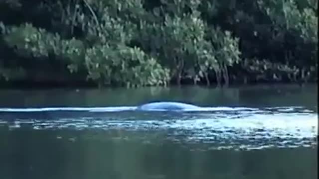 Loch Ness Monster Caught On Tape (In Real Life FOOTAGE) Nessie Monster