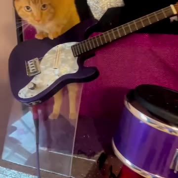 The original pu$$ey riot 🎸? 🤣🤣🤣🤣