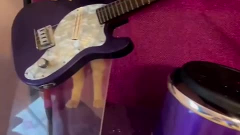 The original pu$$ey riot 🎸? 🤣🤣🤣🤣