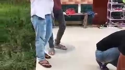 New funny video
