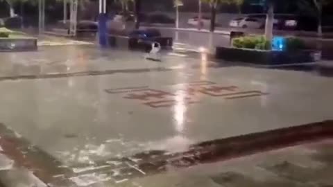 Happiness is a state #shorts #shortsvideo #video #viral