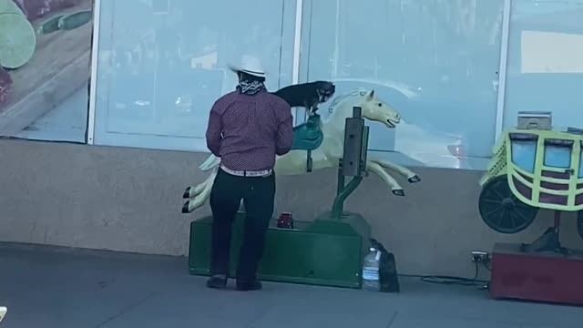 Little Dog Rides Mechanical Horse