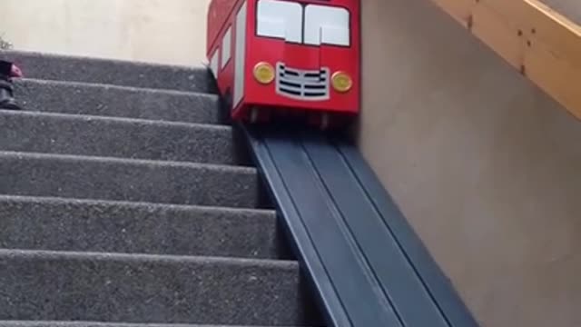 Dog takes stair life