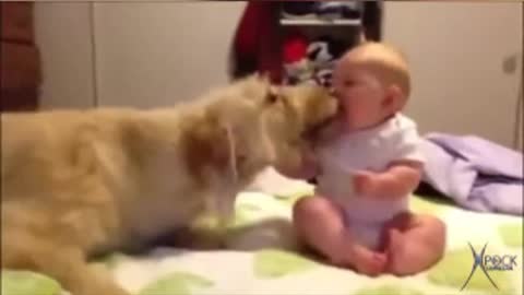 Incredible funny babies