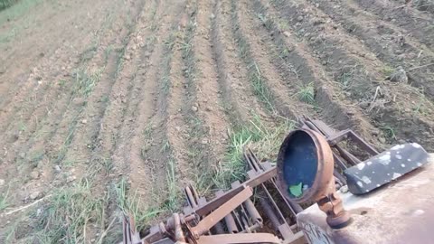 how to plow the field । forming। struggle life।