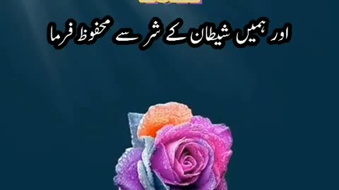 allah hamin shitan ky shar se mahfoz rkhi