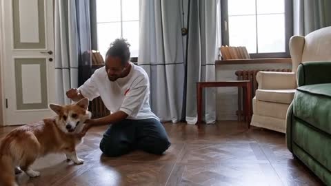 A Man Playing with his Dog in a Living Room