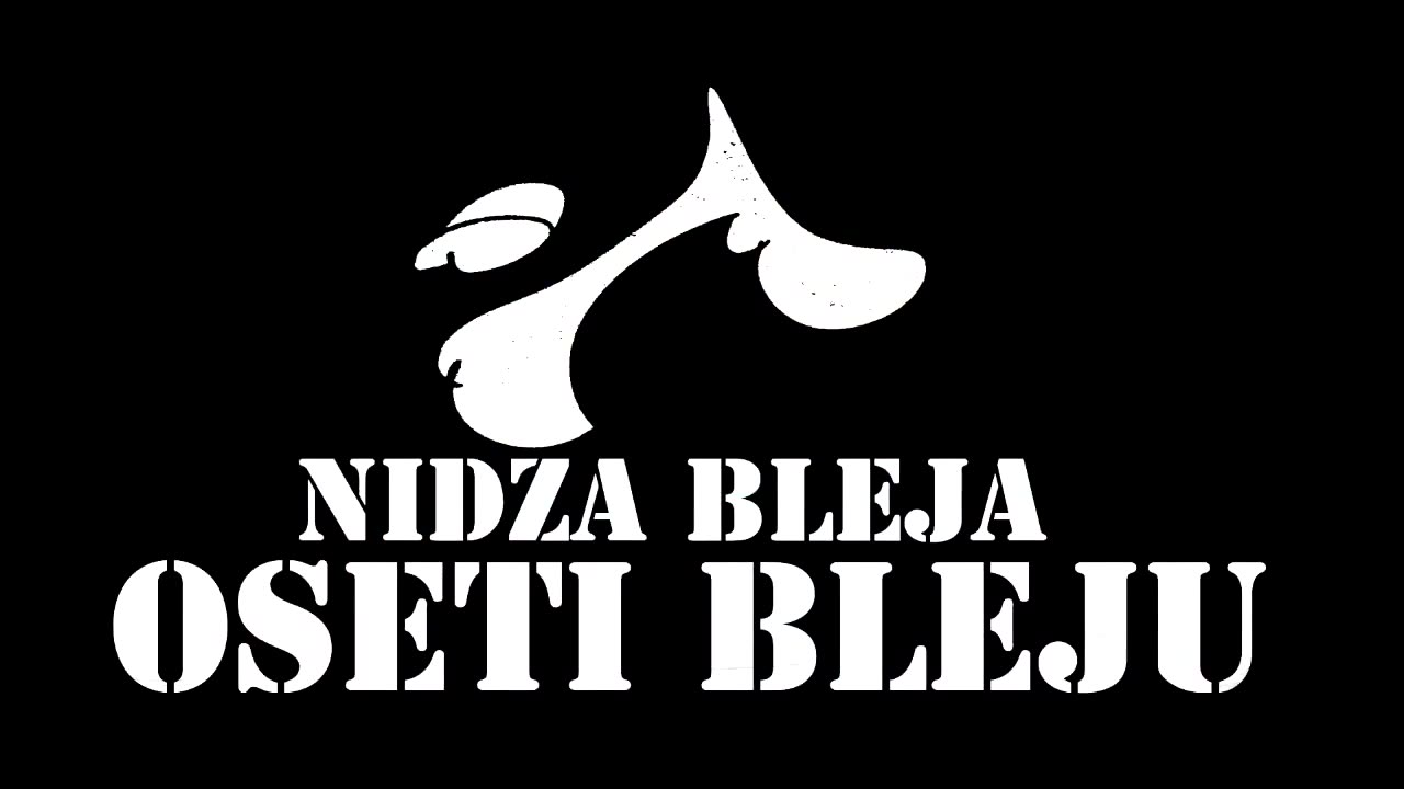 Kraj nije kraj - Nidza Bleja 2016