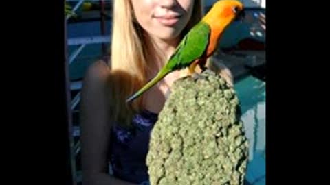 Medication Damian "Jr. Gong" Marley - Medication ft. Stephen Marley Rasta Rick video edit