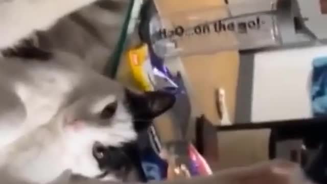 fun of shoveling shit official # funny # surprise not surprise