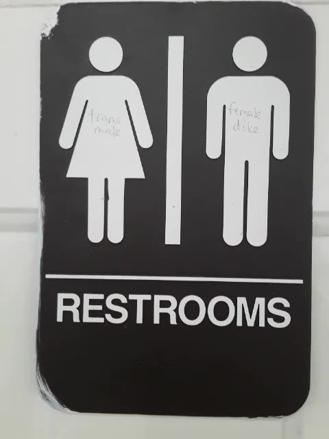 The state of Restrooms in a Liberal world (exclusively for rumble)