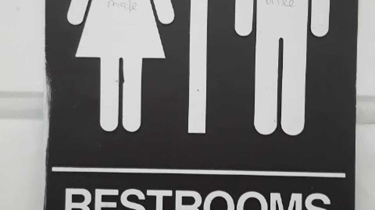 The state of Restrooms in a Liberal world (exclusively for rumble)