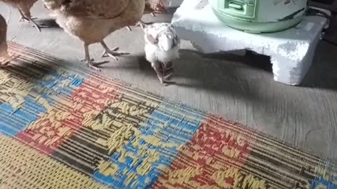 Eating
