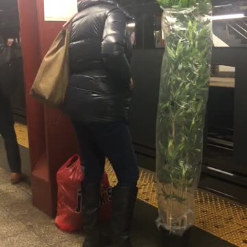 Woman dances next to tall plant in subway