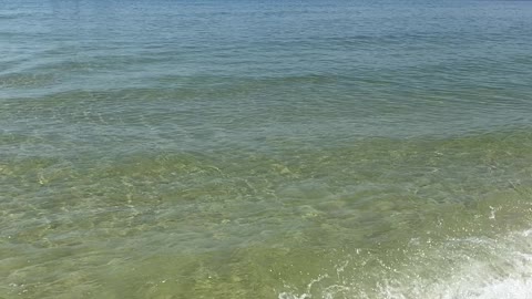 The gulf of Mexico