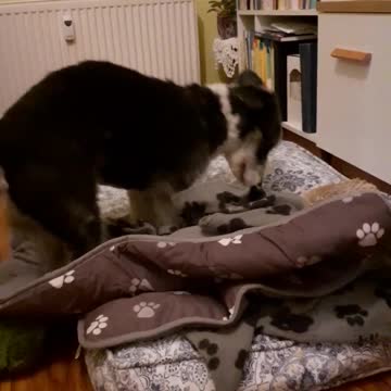 Tyapa is putting things in order, otherwise my mother did not make the bed like that