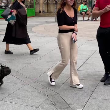 Macho Man got Scared in Dublin by Human Statue