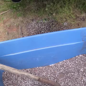 07-08-23 | Feeding Baby Raccoons | The Lads Raccoon Vlog-003