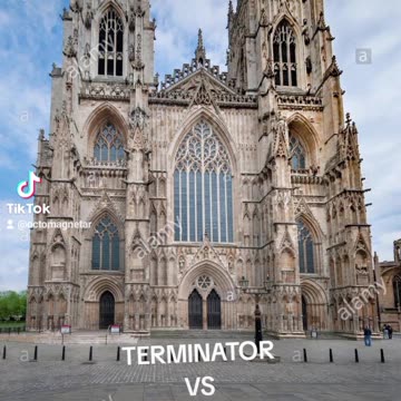 INSECTNOIDS HYJACKED MY BODY I AM IN TO CLEAN MY HOUSE THE TERMINATOR