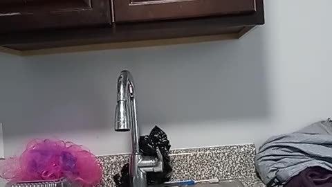 U.S. turning corner on pandemic: White House COVID coordinator