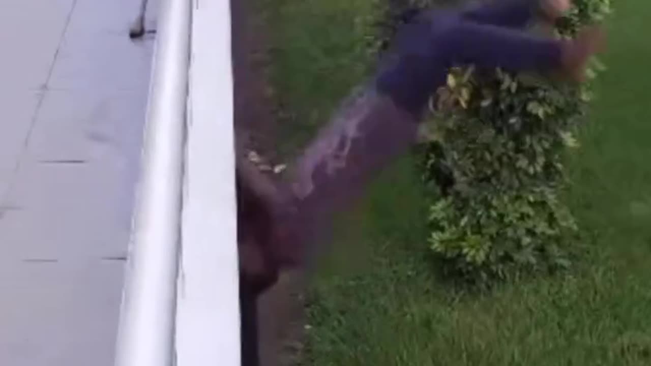 Fun