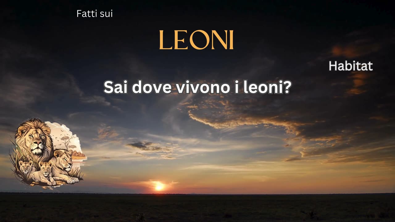 Fatto del Leone 3 - Sai dove vivono i leoni?