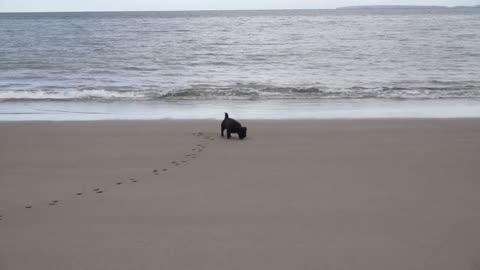 Aberdovey April 2021