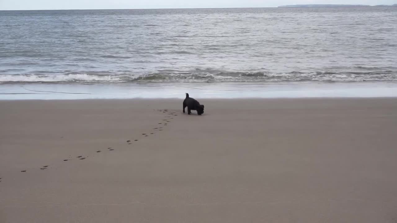 Aberdovey April 2021