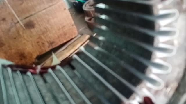 Moter barnig