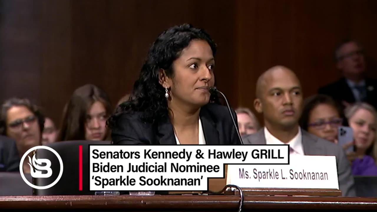 Blaze News-Sen's Kennedy & Hawley GRILL a Biden Nominee Named 'Sparkle'