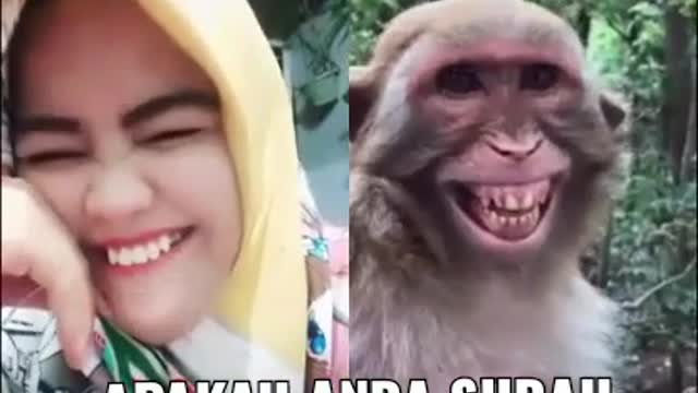Did You Smiles Today...