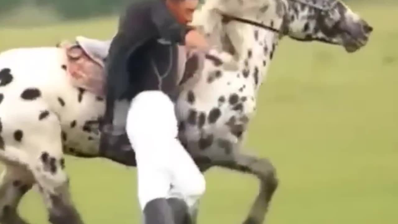 Amazing Galloping