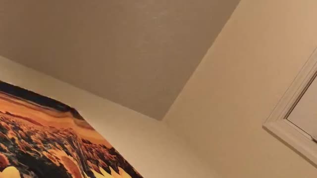 JC sings A Ham Song