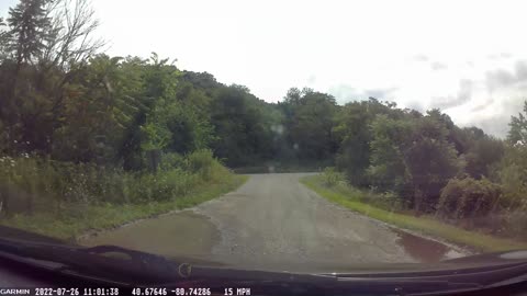Deer at 1:52
