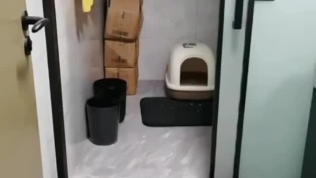 Masking 100lvl
