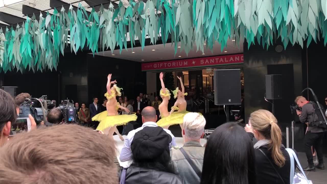 Myer Melbourne 2019 | Christmas Windows Opening