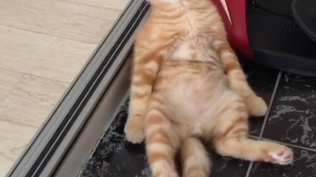 No, I'm too sleepy, tell me to go to bed first
