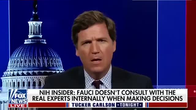 Tucke Carlson tonight the Fraudci