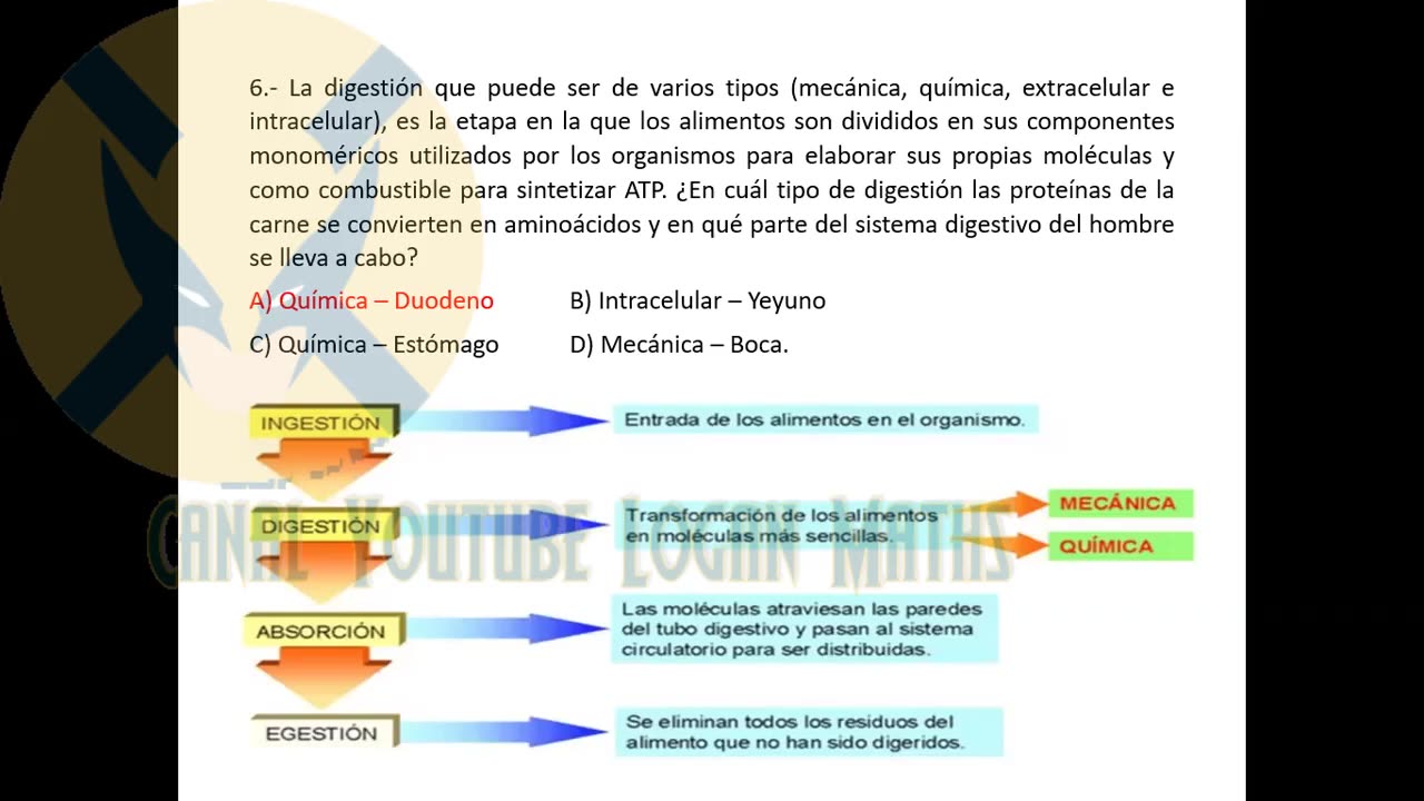 REPASO GRUPO SAN MARCOS 2022 | Nivelación | Biología