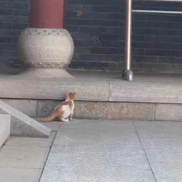 The airforce won! 🤣