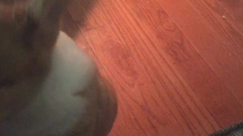 Njord demands human food