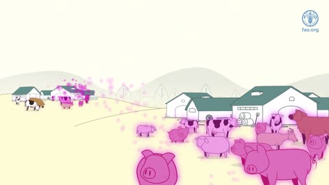 What you need to know about Foot-and-Mouth Disease.