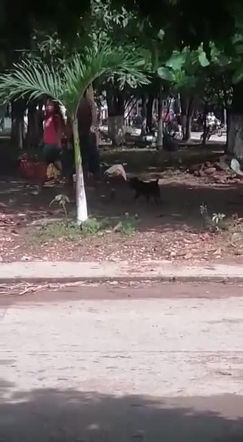 Video: Investigan caso de maltrato contra una mujer en Santander