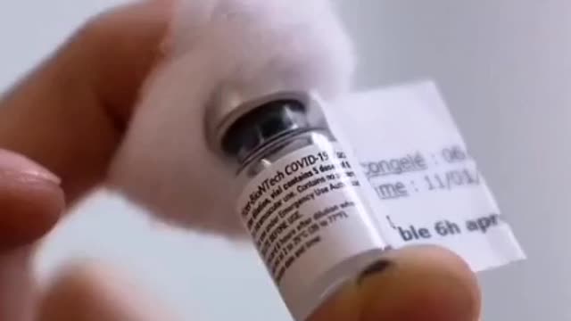 ¿Cuánto tiempo vivirá un timo vacunado?