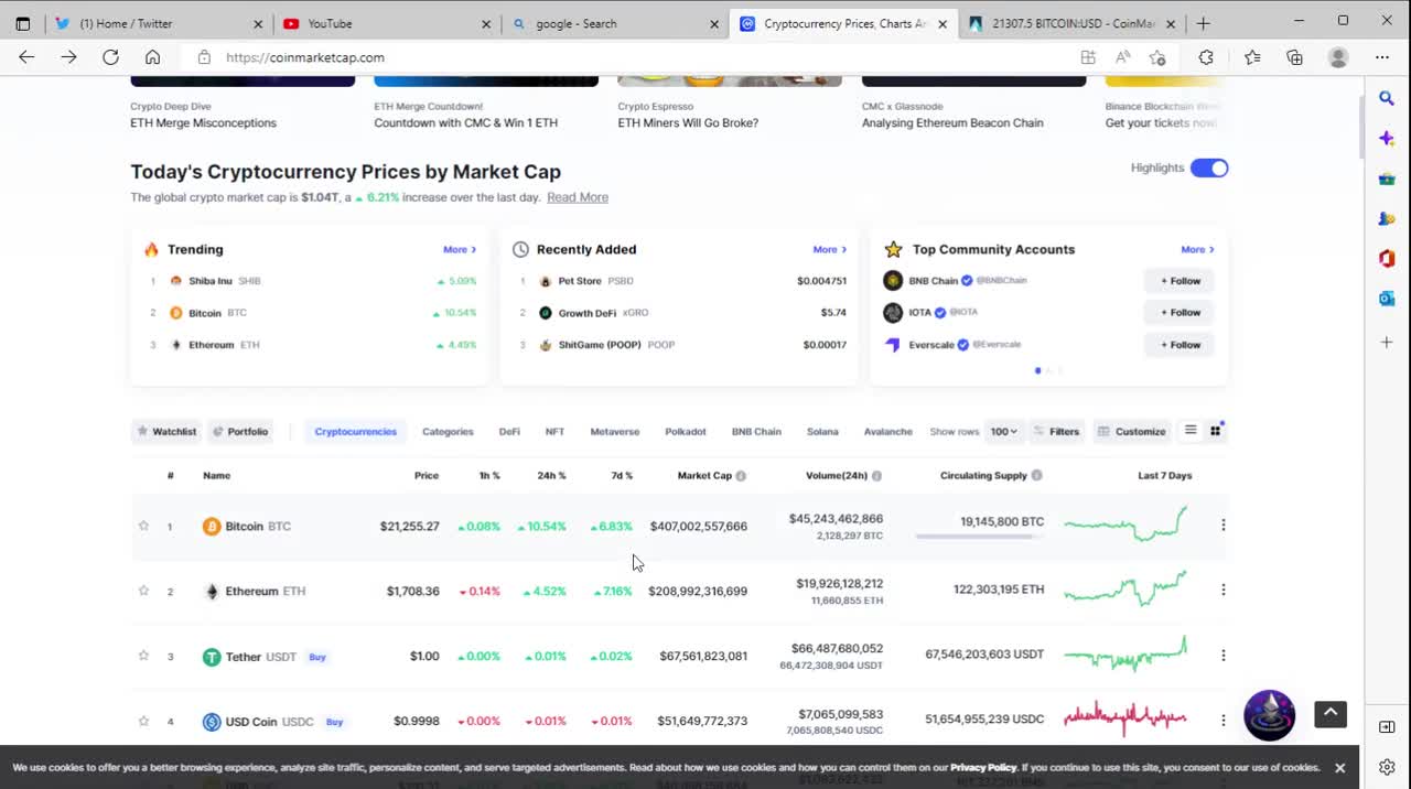 alt Coin ANALYSIS