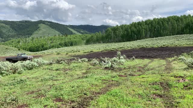 Kicking it in the mud
